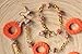 Sculpey Premo Art Clay, Jungle (PE02 5535)