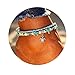 17mile Blue Starfish Turtle Anklet Multi-layer Charm Beads Sea Bench Handmade Boho Anklet Foot Jewelry Gifts for Women