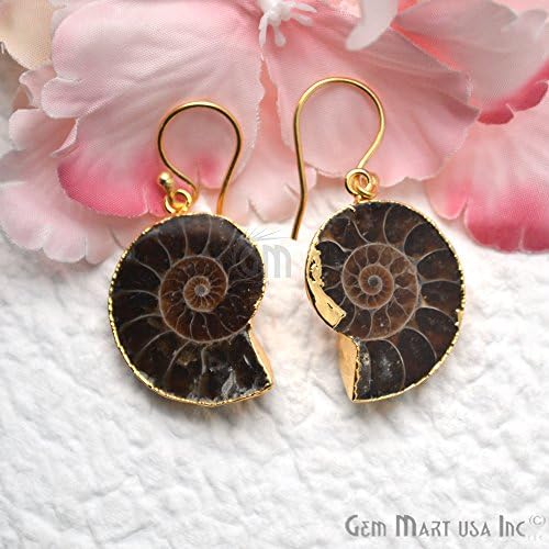 GemMartUSA Ammonite Dangle Earring, Hook Earrings,Gemstone Earrings, Dangle Earring (ANER-90064)