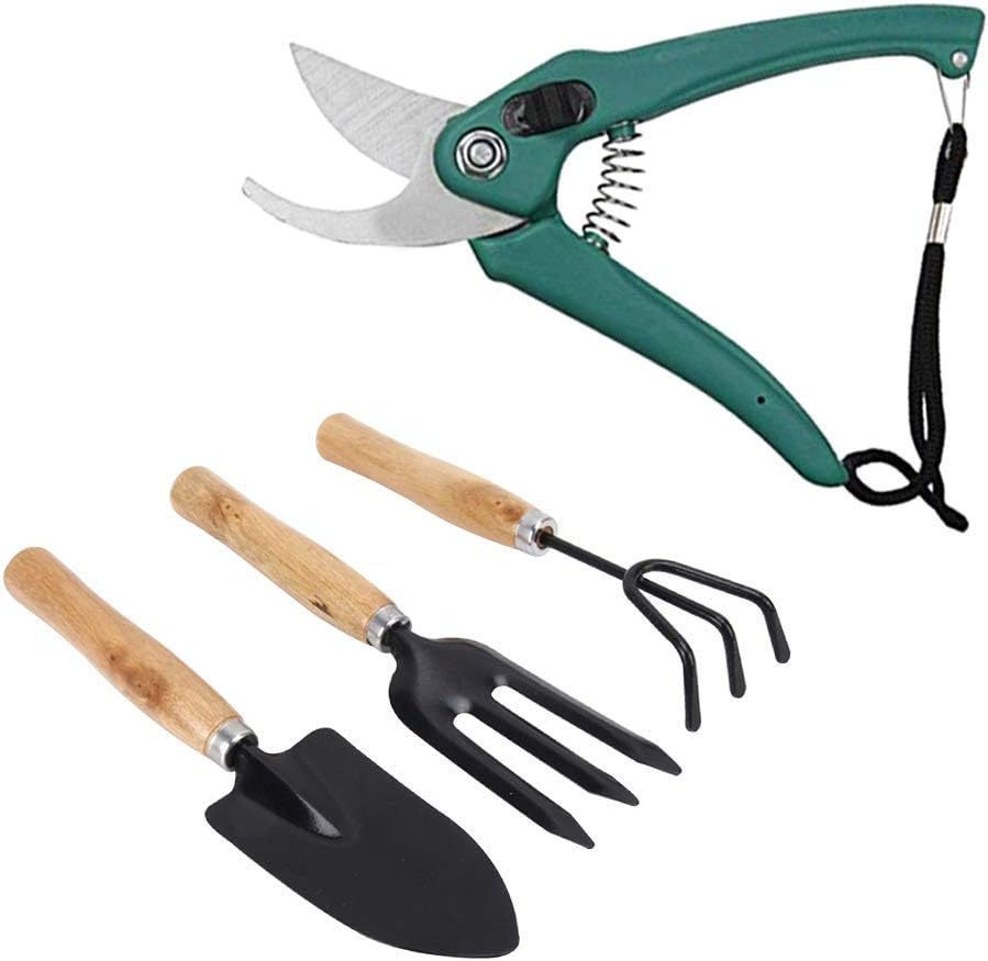 The Most Effective Gardening Tools for Small Gardens and Backyards 7 DeoDap Gardening Tools