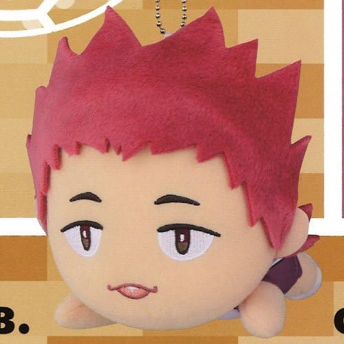 Amazon ハイキュー フライングレシーブぬいぐるみ Vol 3 天童覚 単品 プライズ アニメ 萌えグッズ 通販
