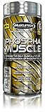 MuscleTech Phospha Muscle, Clinically Studied & Fully Dosed Form of Phosphatidic Acid, 140 SoftGels
