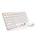 Jelly Comb [Whisper-quiet] 2.4G Ultra Slim Portable Wireless Keyboard and Mouse Combo for Desktop, Windows 7 / 8 / XP / Vista - Gold