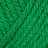 Lion Brand Hometown USA Yarn (130) Green Bay