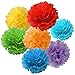 Rainbow Party Decorations Tissue Paper Pom Pom Paper Garland Circle Garland for Rainbow Baby Shower Decorations Rainbow Birthday Decorations Rainbow Party Supplies Rainbow Decorations
