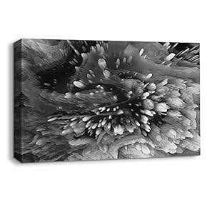 Canvas Wall Art Abstract Black and White Painting Artwork for Home Prints Framed - 12x18 inches