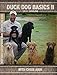 Avery Sporting Dog Duck Dog Basics 2 DVD