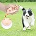 Pig Latex Puppy Toy Soft Rubber Dog Squeaky Toy Squeaky Dog Balls Funny Dog Toys for Puppy Small Pets Dogs 4PCS/Set