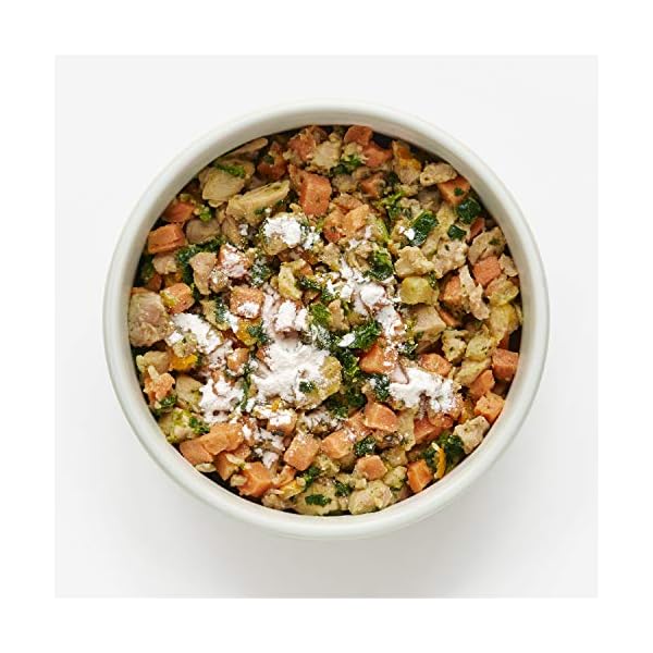 Nom Nom Dog GITargeted Probiotic Support with Prebiotic Fiber