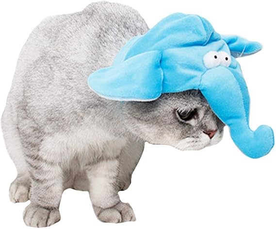 dorakitten halloween haustier kostum batman mit leine kurbis glocke und ring fur hunde cosplay party weihnachten special events kostum hund fledermaus kostum ffizielles hundekostum verkleiden kostume spielzeug suenaacampo com