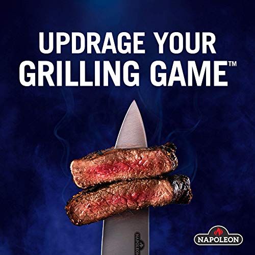 Napoleon 56040 Cast Iron Reversible Grill Griddle Pricepulse