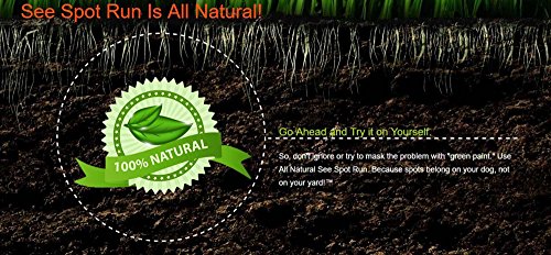 See Spot Run Lawn Protectant - Complete and Safe Natural Lawn Care for Pets. Cures and Prevents Dog Urine Spots (32 oz. hose end concentrate)