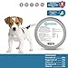 Misona Dog Flea and Tick Collar | Flea and Tick Prevention for Dogs Flea Collars for Small Large Dogs Flea Treatment Flea Protection Pet Flea Tickthumb 1