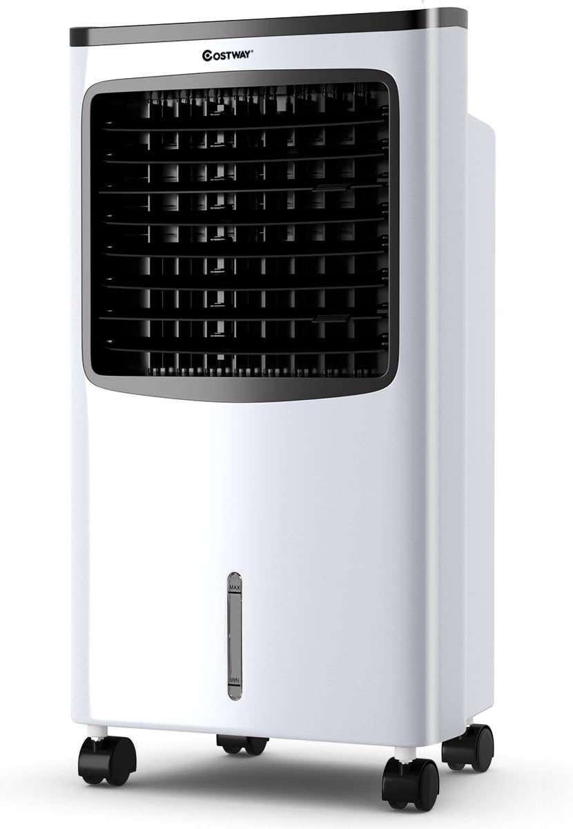 electric fan with ice