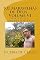 Livro 101 Maravilhas de Deus - Volume VI: criacionismo