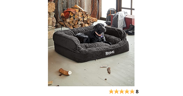 orvis dog beds amazon
