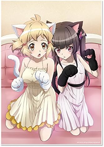 Amazon 戦姫絶唱シンフォギアxd Unlimited ビジュアルアクリルプレート キャットな二人 響 調 アニメ 萌えグッズ 通販