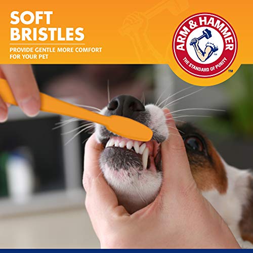 Arm & Hammer for Pets Dental Toothbrush & Cover for Small Dogs Best