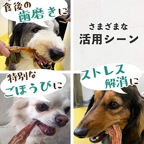 Amazon 国産 馬アキレス 極太 完全無添加 犬 おやつ 歯磨き用にも 50g Sin シン ジャーキー 通販