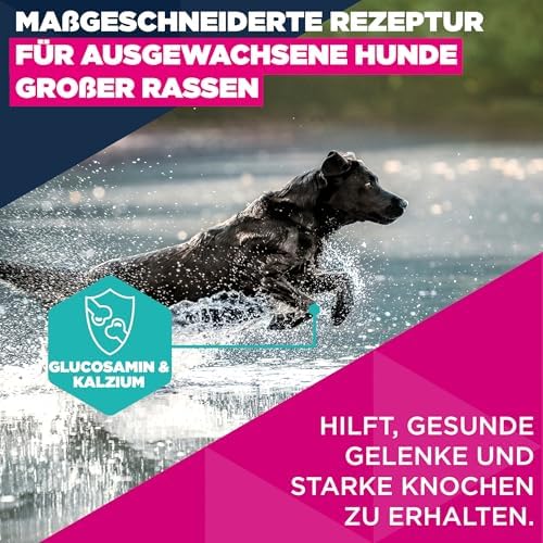 Hundefutter Trocken mit frischem Huhn für große Rassen, Premium Trockenfutter für ausgewachsene Hunde, 15 kg