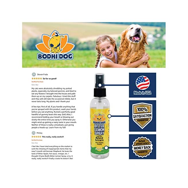 bodhi dog spray