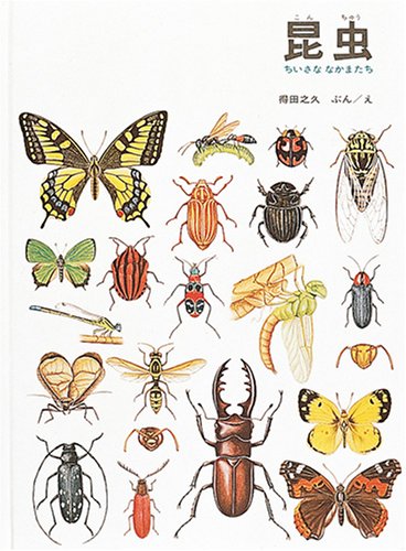 昆虫 福音館の科学シリーズ Amazon Com Books