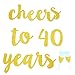 GOER cheers to 40 years and Champagne Glasses Gold Glitter Banner for 40th Birthday Party Decorations