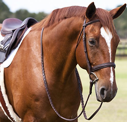 Huntley Equestrian Fancy Stitched Sedgwick Leather English Bridle and Reins, Conker, Cob