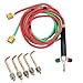 Mini Gas Little Torch Welding Soldering Gun Practical Gas Oxygen Acetylene Torch with Flexible Hoses for Jewelry Repairing with 5 Weld Tips