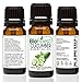 Biofinest Cucumber Seed Essential Oil - 100% Pure Undiluted, Premium Organic, Therapeutic Grade - Best for Aromatherapy, Skin Care, Soothe Wounds Cuts Acne Sunburn Wrinkles - FREE E-Book (10ml)
