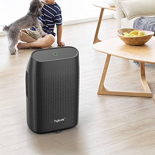 Hysure Dehumidifier for Home, Electric Gun Safe Portable Dehumidifier for 2500 Cubic Feet Room