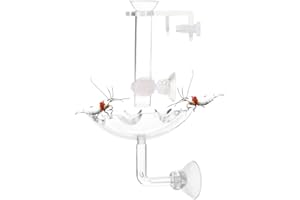 JZMYXA Shrimp Feeding Tube and Feeding Dish, Fit for Shrimp Fish, Mini Size, High Transparent Acrylic Material