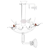 JZMYXA Shrimp Feeding Tube and Feeding Dish, Fit