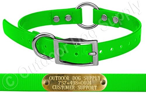 Outdoor Dog Supply's 3/4" Wide Solid Ring in Center Dog Collar Strap with Custom Brass Name Plate … (Lime Green)