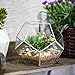 NCYP Small Silver Glass Geometric Terrarium for Succulents Air Plants, 6.89 x 6.89 x 5.9 Inches, Indoor Home Garden Planter Pot, Tabletop Decor Centerpiece, Handmade (Only Terrarium)
