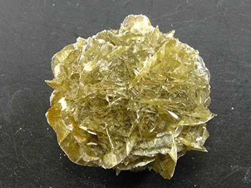 Gypsum Rose Crystal From Manitoba Canada - 1.4"