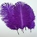 Sowder 20pcs Natural 10-12inch(25-30cm) Ostrich Feathers Plume for Wedding Centerpieces Home Decoration(Purple)