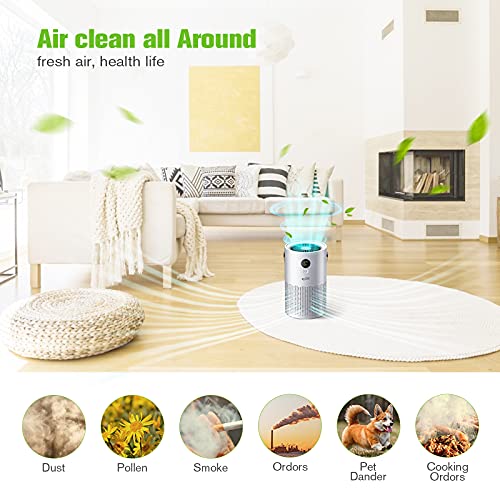 Housmile Air Purifier for Home,Air Cleaner with True HEPA Filter,3 Speeds Desktop Air Cleaner,Portable Purifiers for Dust, Smokers, Pollen, Pet Dander, Hay Fever, Cooking Smell(Gray)