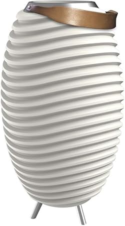 synergy 35 led bluetooth speaker