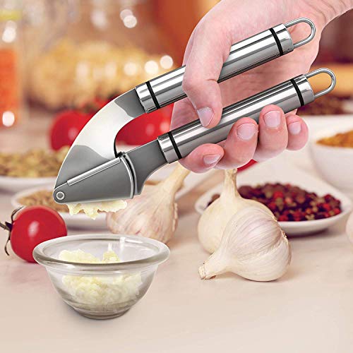 ORBLUE Garlic Press, Stainless Steel Mincer and Crusher with Garlic