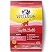 Wellness Complete Health Natural Dry Cat Food, Salmon & Salmon Meal Recipe, 12-Pound Bag