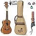 Concert Ukulele Bundle - LEFT HANDED, Deluxe Series by Hola! Music (Model HM-124LFT+), Bundle Includes: 24 Inch Mahogany Ukulele with Aquila Nylgut Strings Installed, Padded Gig Bag, Strap and Picks