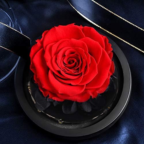 Zyzryp ガラスの中に永遠の花バラは Ledライトバレンタインデーのギフト誕生日結婚式休日のプレゼントで新鮮なドライフラワーをプリザーブド 色 Eternal Rose No Box B0872tk2h2 2 355円