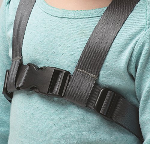 Lulyboo Toddler Safety Harness and Backpack