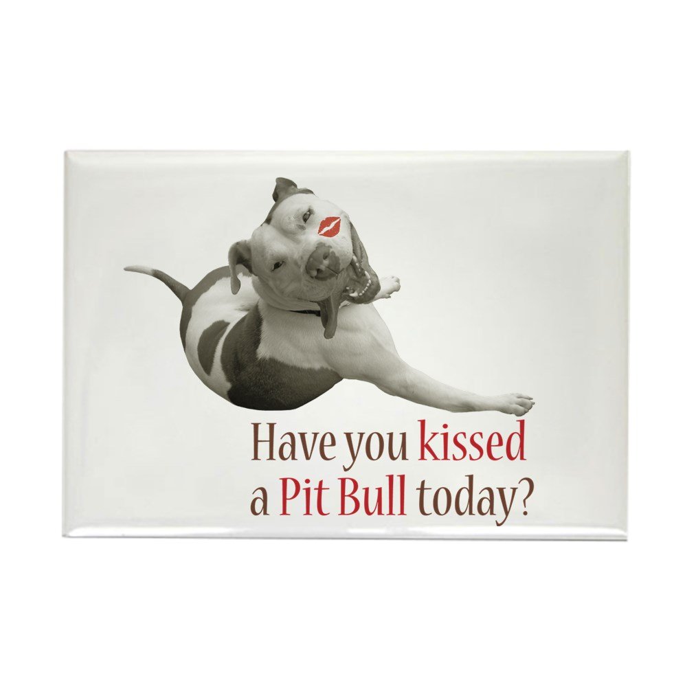 CafePress Have U Kissed A Pit Bull Toda Rectangle Magnet, 2"x3" Refrigerator Magnet