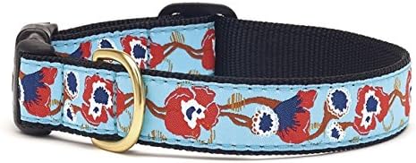 Up country dog collars amazon Clearance