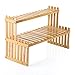 OGORI Plant Stand Flower Display Stand, 2 Tier Desk Shelf Rack Bamboo Bonsai Tools