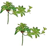 Gcrdplat 2pcs Artificial Succulent Plants, Realistic Large Fake Succulents, Artificial Hanging Ornaments for Decor