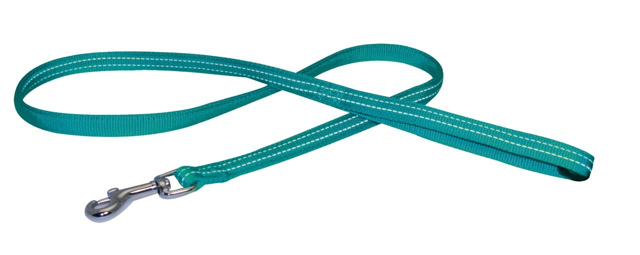 CROCI Nylon Soft Reflective Leash, 20 x 1200 mm, Light Blue