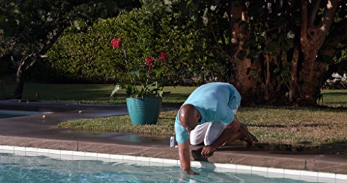 CLOROX Pool&Spa My Pool Care Assistant, 50 Test Strips